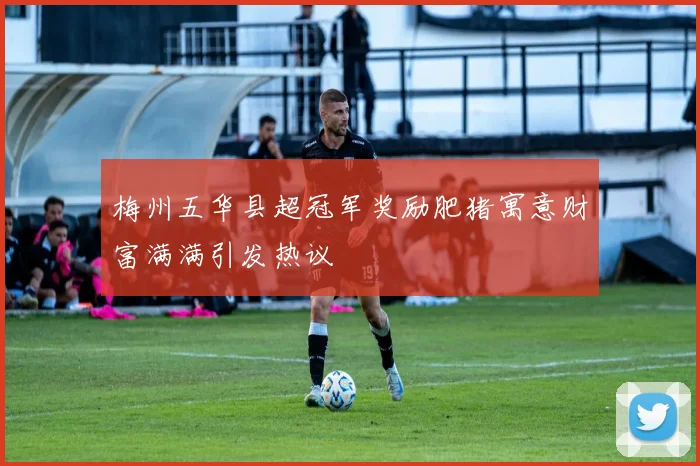 梅州五华县超冠军奖励肥猪寓意财富满满引发热议