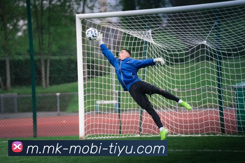 MK体育发展历程